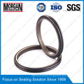 Pti Type Hydraulic Cylinder Rod Dust Double Wiper Seal Ring